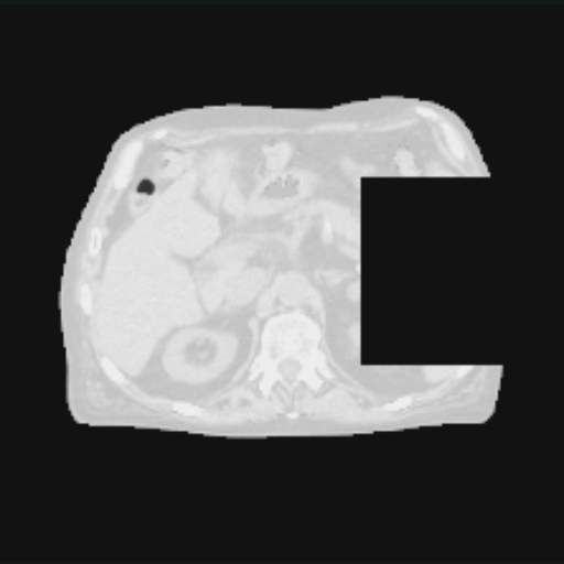 The source after a rectangular CutOUT augmentation.