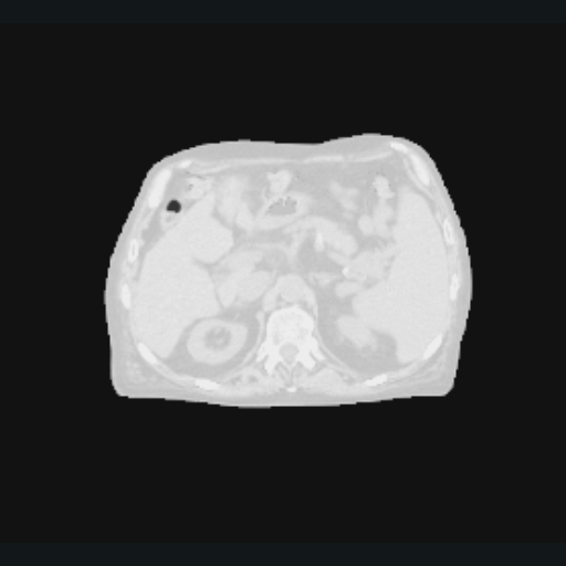 Padding output with an expanded image grid.